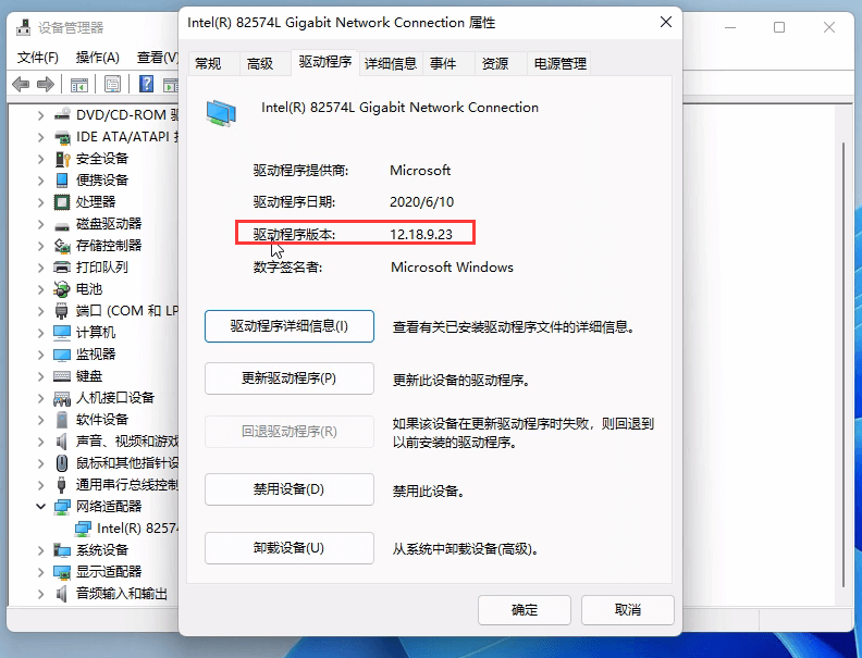 驱动程序选项卡 驱动程序选项卡